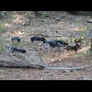 Die nächste Generation